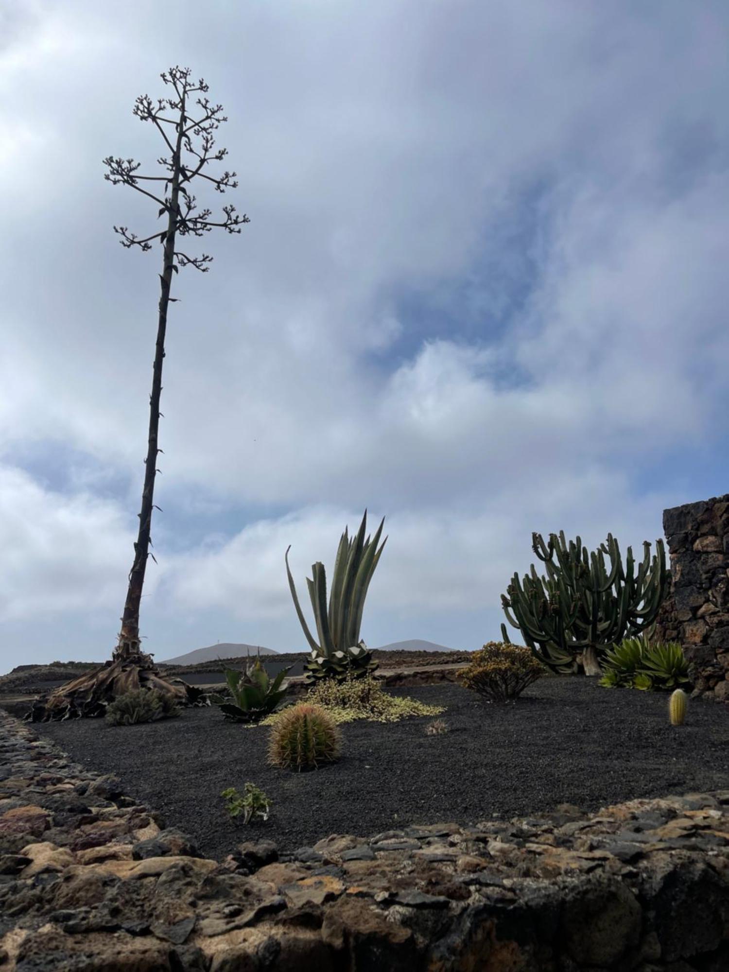 Villa Timanfaya Tinajo Exteriör bild