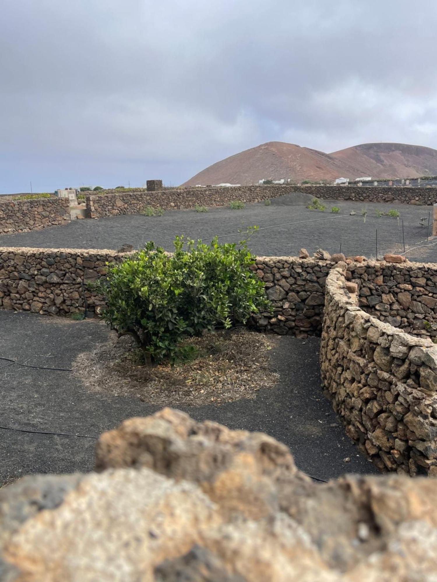 Villa Timanfaya Tinajo Exteriör bild