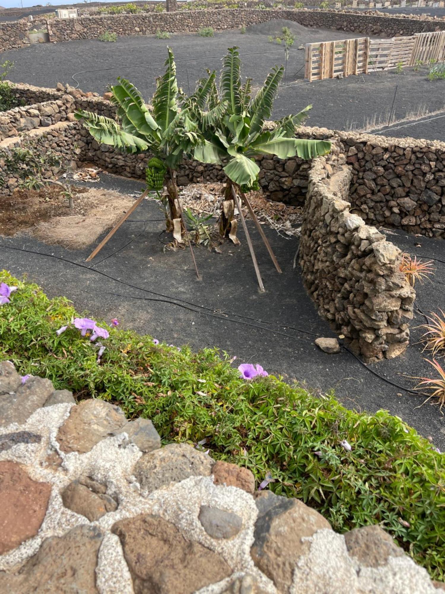 Villa Timanfaya Tinajo Exteriör bild