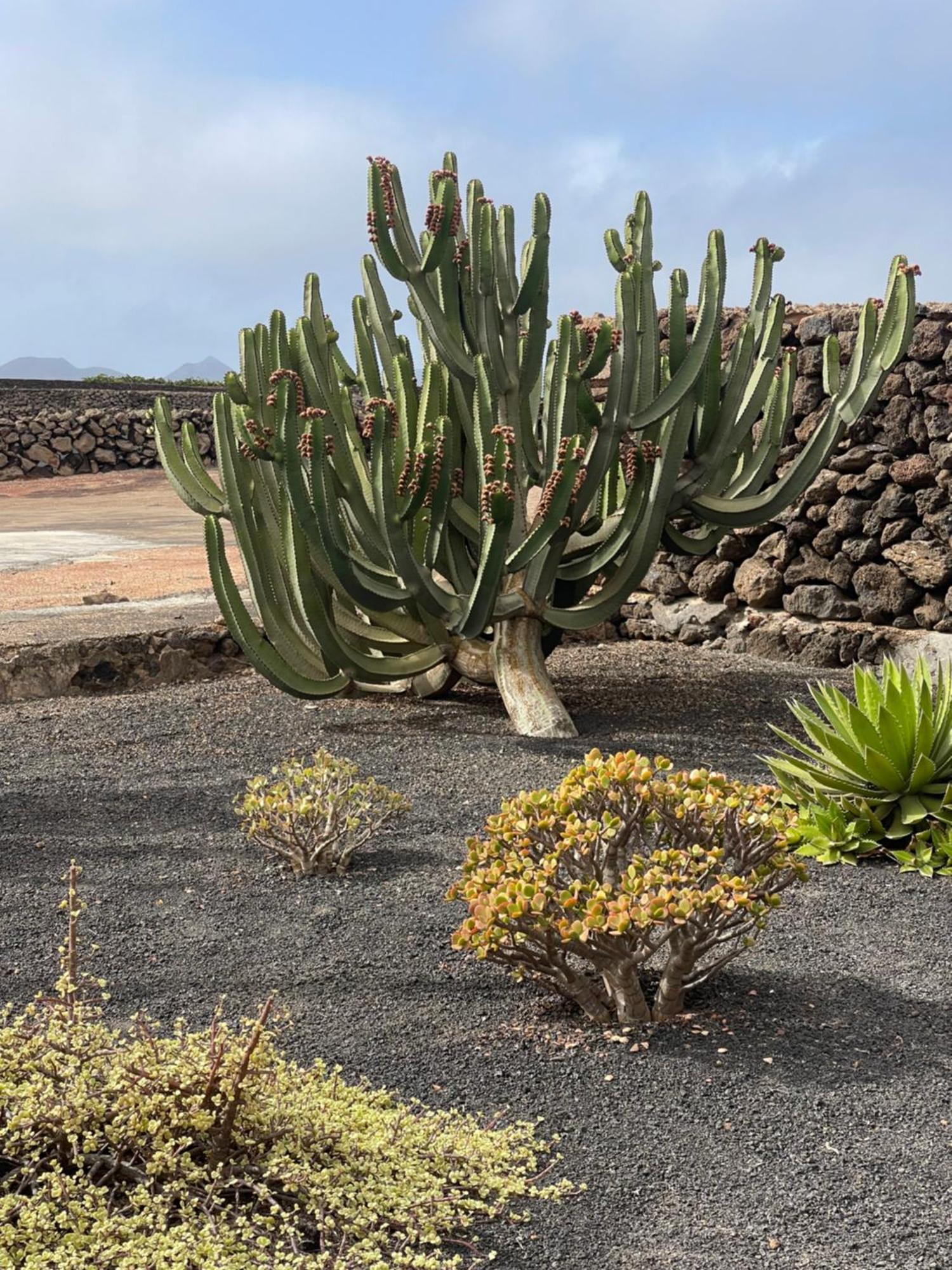 Villa Timanfaya Tinajo Exteriör bild