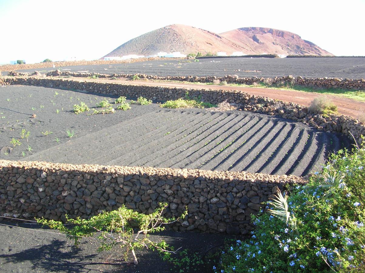 Villa Timanfaya Tinajo Exteriör bild